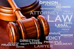 Board-Certified Appellate Specialist Michael Brownlee